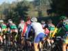 dscf1561_small.jpg
