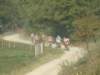 dscf1567_small.jpg