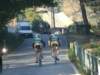 dscf1578_small.jpg