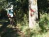 dscf1607_small.jpg